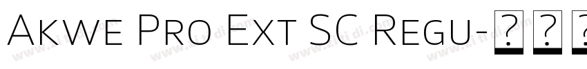 Akwe Pro Ext SC Regu字体转换